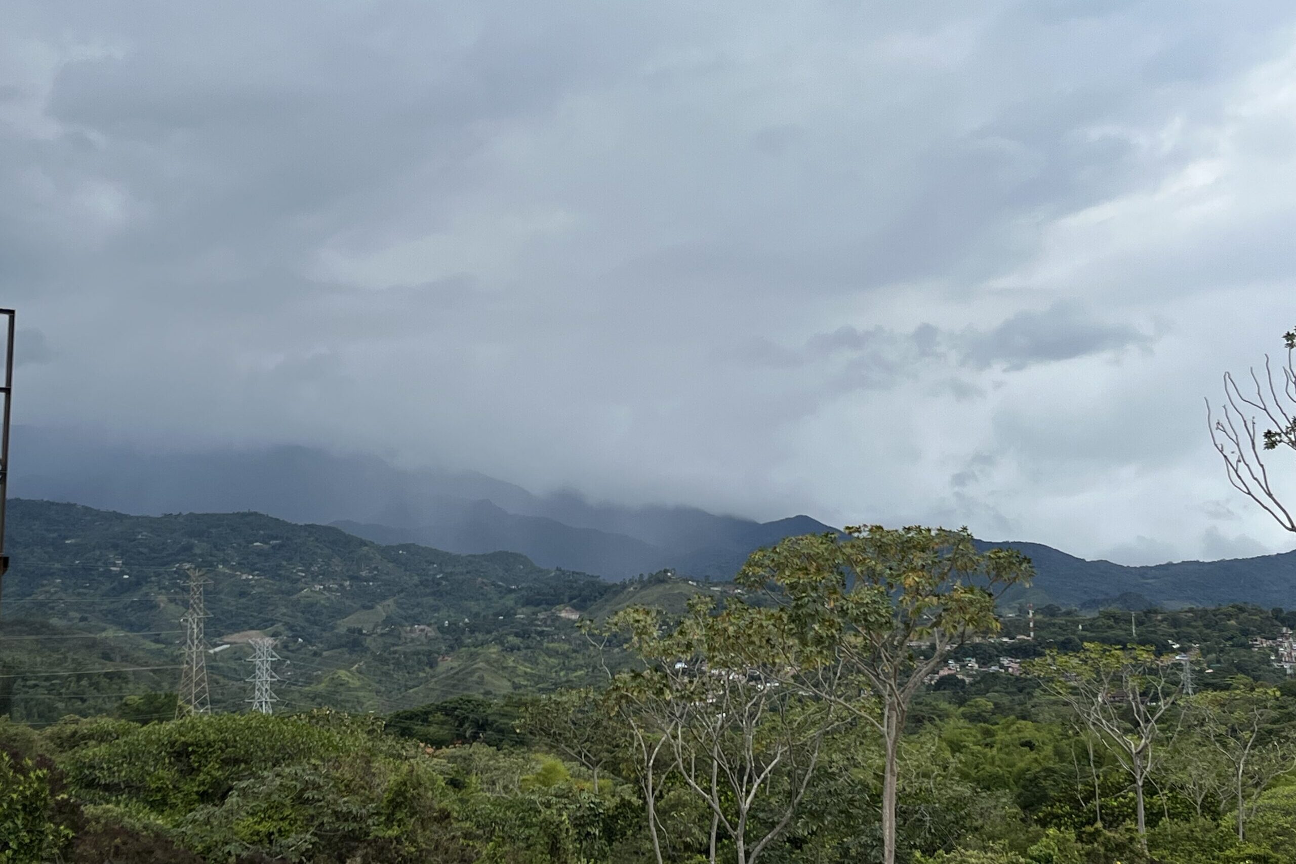 Naturaleza en Pance